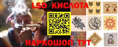 индика Бузулук